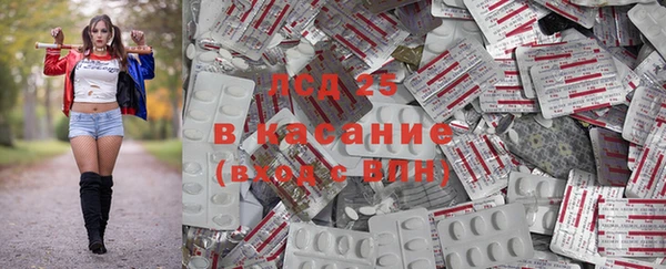 амф Алексин