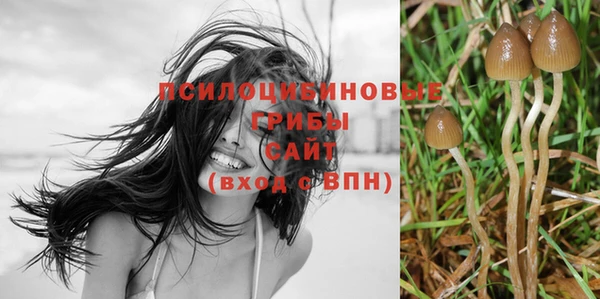 MDMA Алзамай