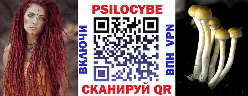 Галлюциногенные грибы Magic Shrooms  Купить  Трубчевск 